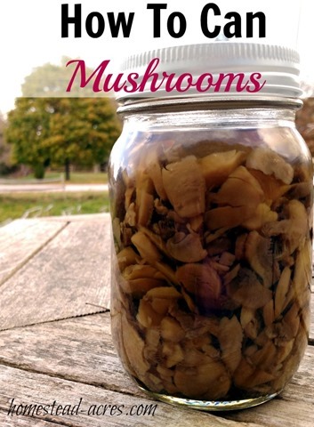 Canning jar of mushrooms on a wooden table outside. Text overlay says How To Can Mushrooms.
