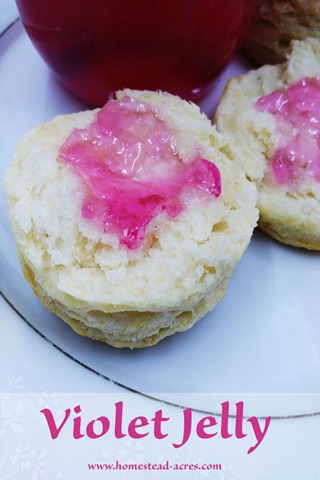 Violet jelly spread on homemade biscuits. Text overlay says Violet Jelly.