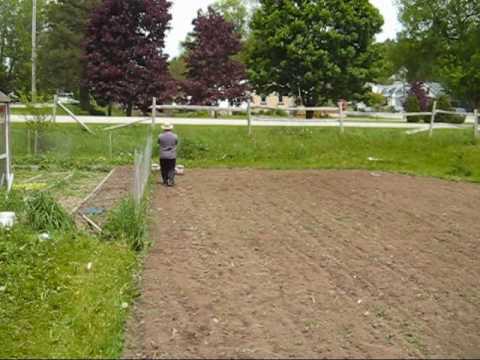 Homestead Series How To Plant Potatoes Start To Finish
