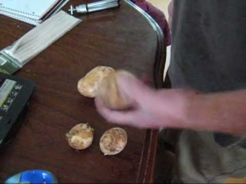 New potatoes