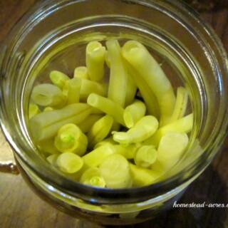 Dilly Beans