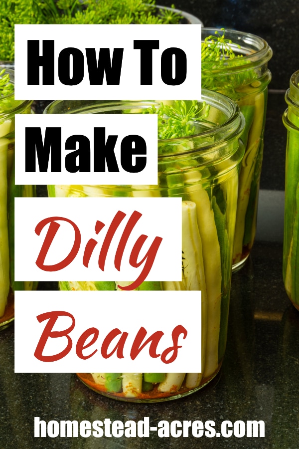 How To Make Dilly Beans