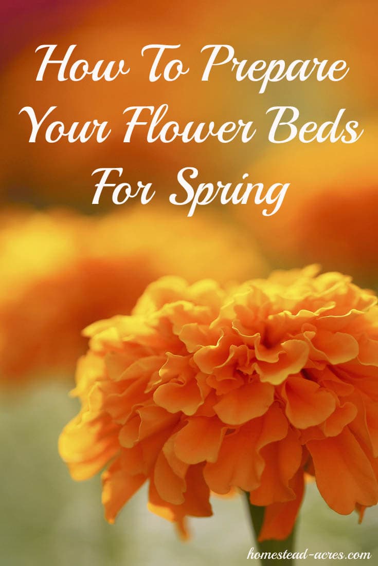 How to prepare your flower beds for spring in 5 easy steps. A little time spent in the garden this fall will get your flowers off to a great start next spring! | www.homestead-acres.com