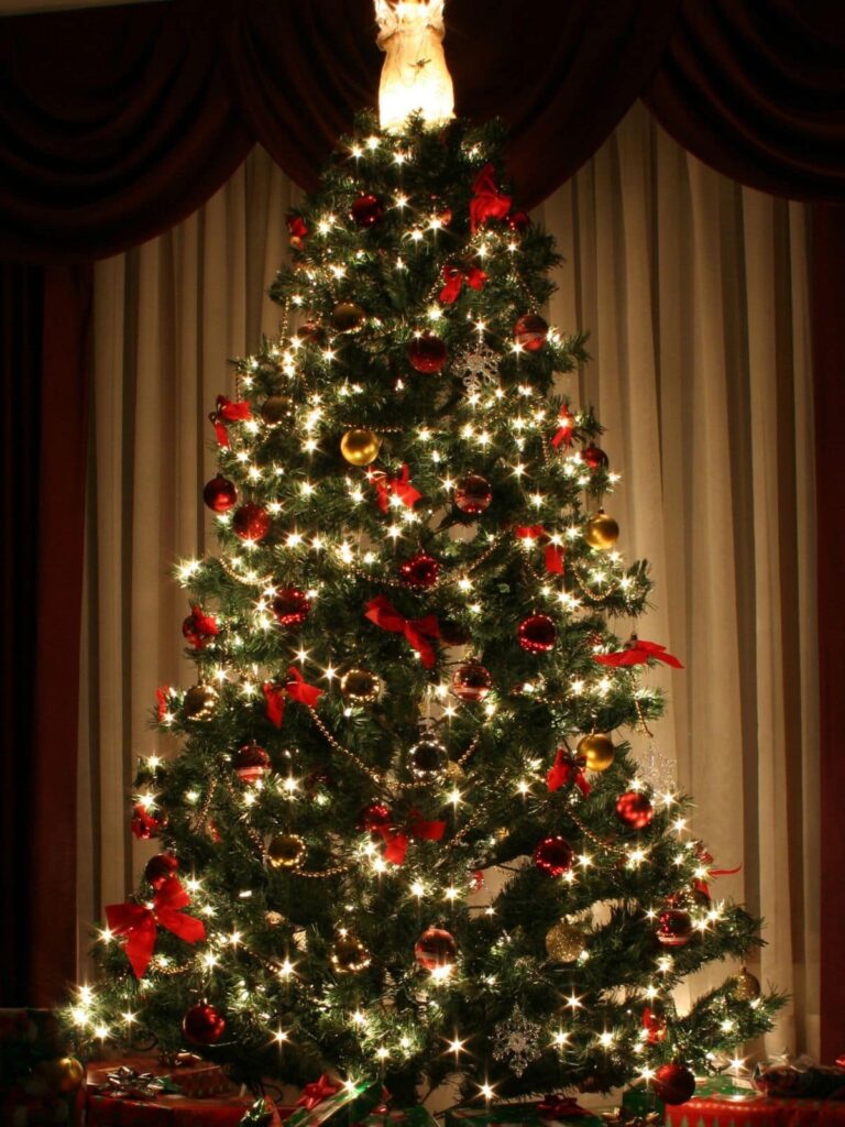 Christmas tree lit up and decorated in front of a window. Keep your tree healthy with a DIY Christmas tree preservative.