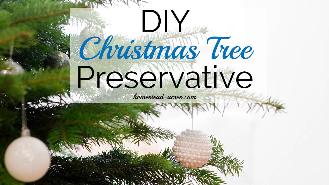 How To Make Your Own Christmas Tree Preservative Safe & Non Toxic - Homestead Acres