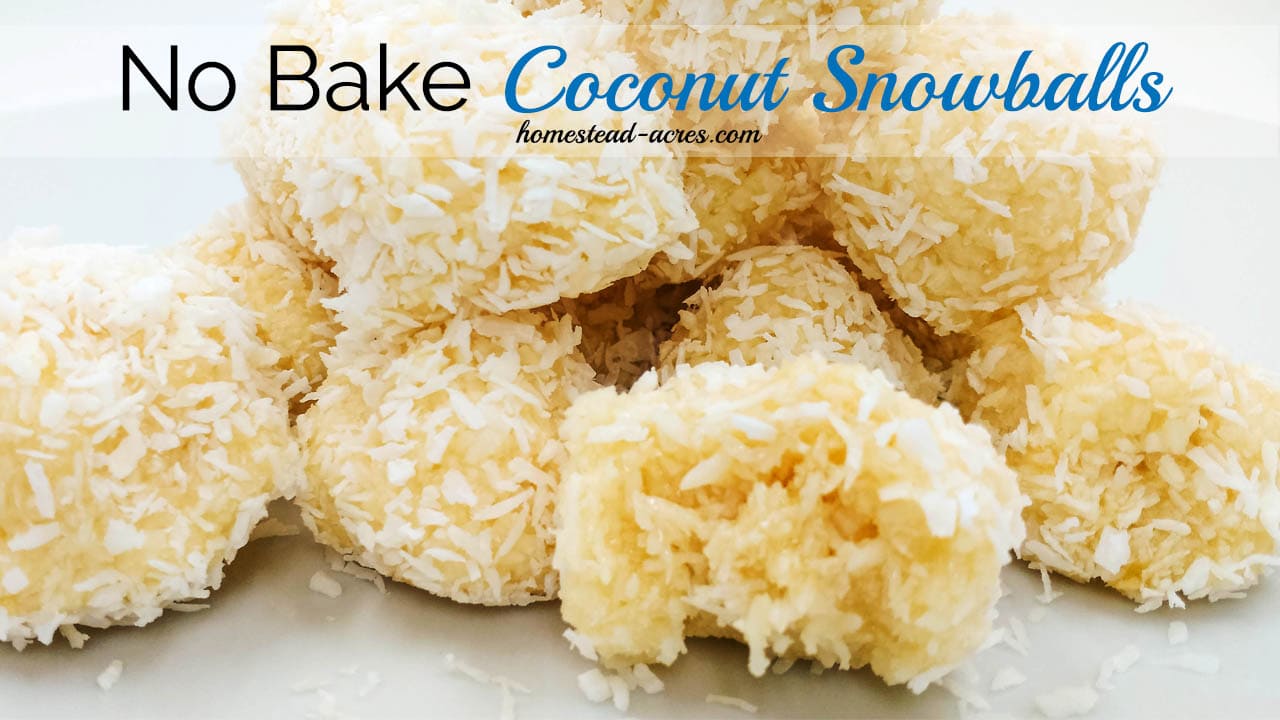 No Bake Coconut Snowball Cookies - Homestead Acres