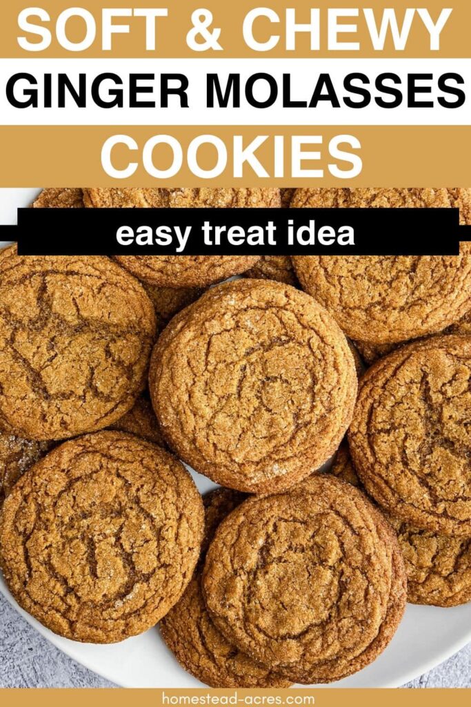 A plate of ginger molasses cookies. Text overlay says Soft & Chewy Ginger Molasses Cookies Easy Treat Idea.