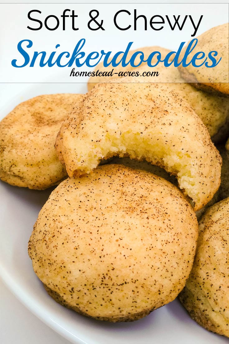 Homemade snickerdoodle cookies on a white plate. Text overlay says Soft & Chewy Snickerdoodles.