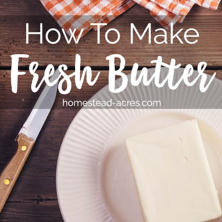 Homemade Fresh Butter Recipe www.homestead-acres.com