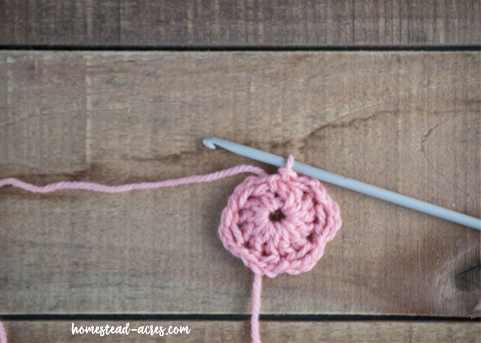 Make 6 loops for the crochet flower petals.