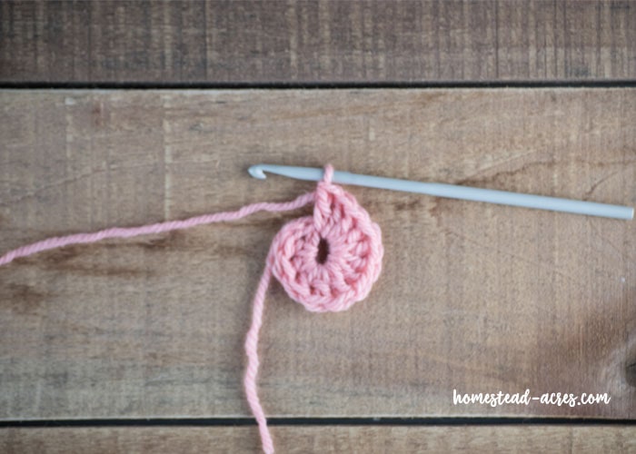Easy crochet flower 12 double crochet into ring.