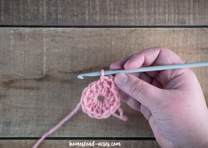 Making crochet loops for petals.