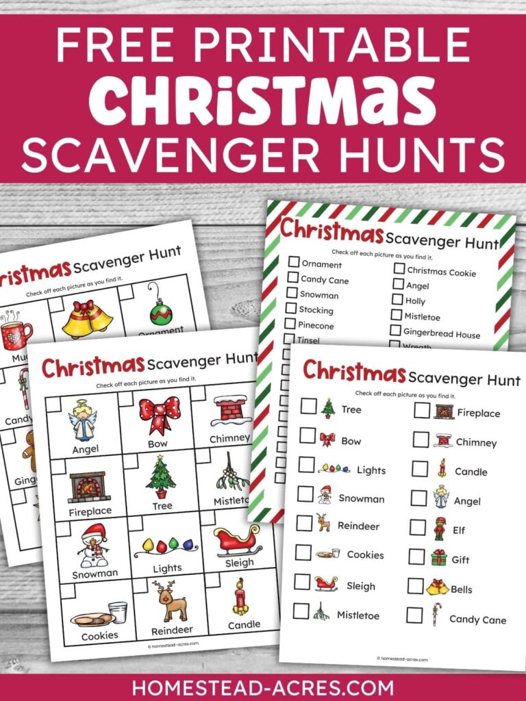 4 Free Printable Christmas Scavenger Hunt For Kids