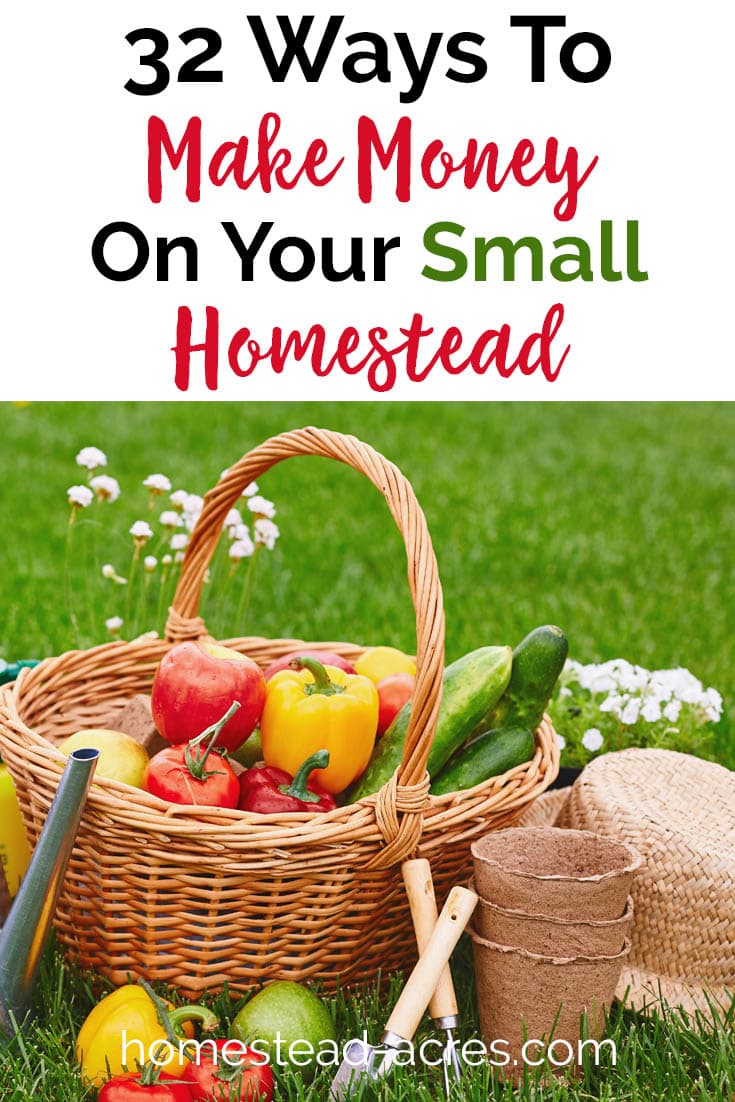 32 ways you can make money on your small homestead. Practical ideas for backyard homesteaders. #homesteading #makemoney #gardening