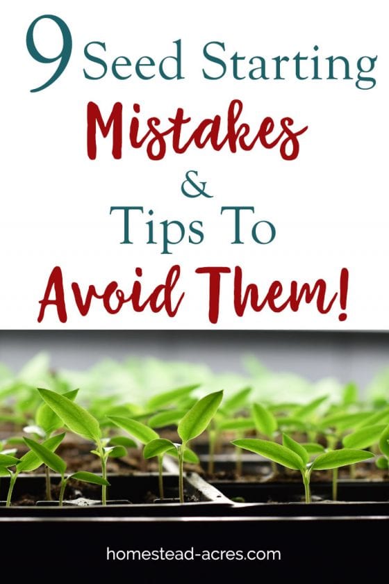 9 Indoor Seed Starting Mistakes Gardeners Make And Tips To Avoid Them