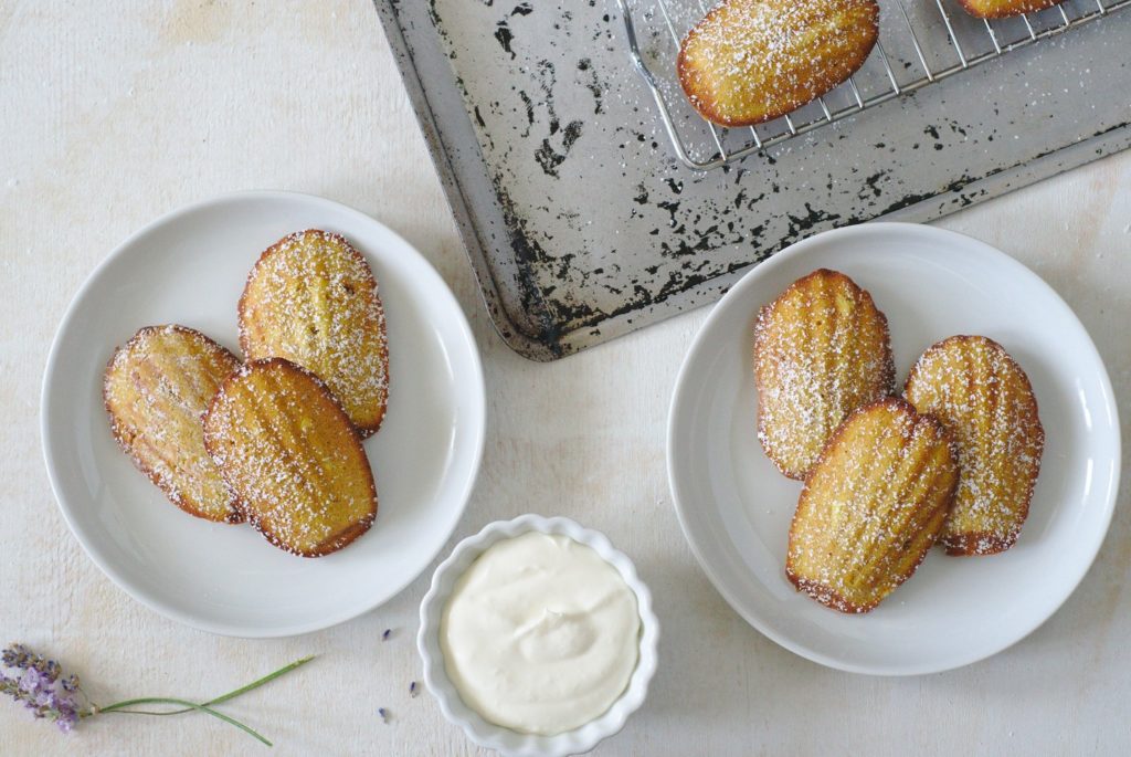 Pumpkin Madeleines
