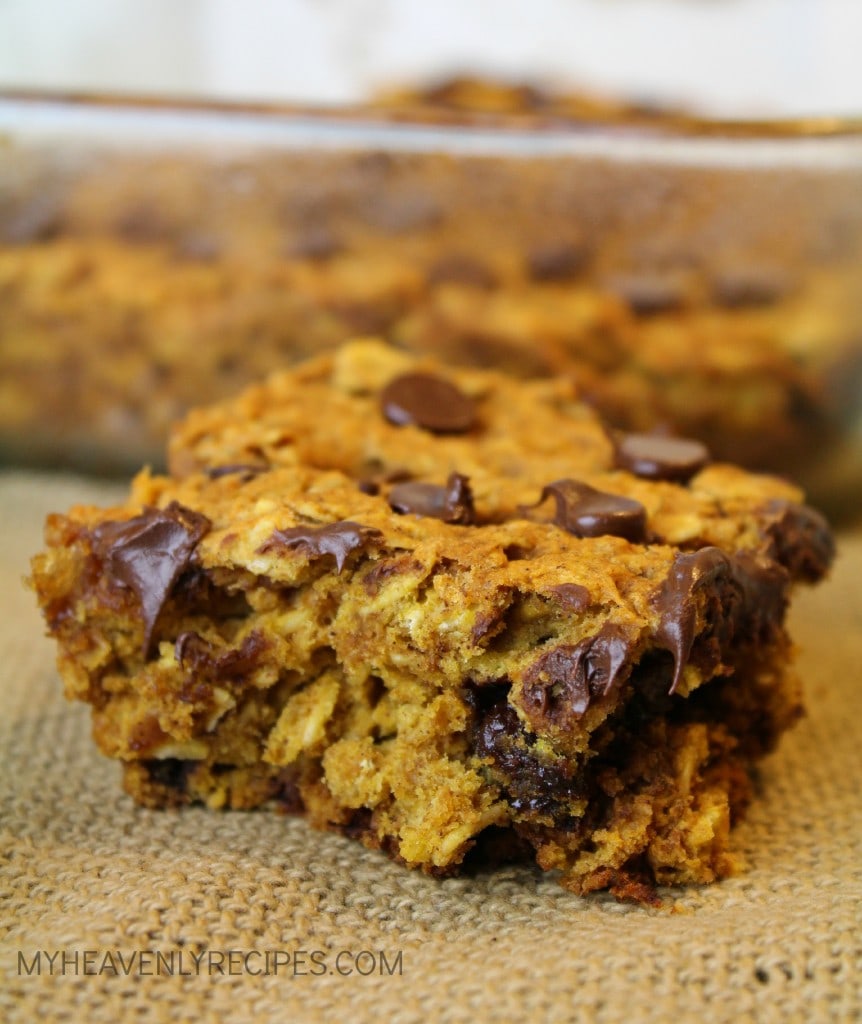 Chocolate Chip Pumpkin Bars
