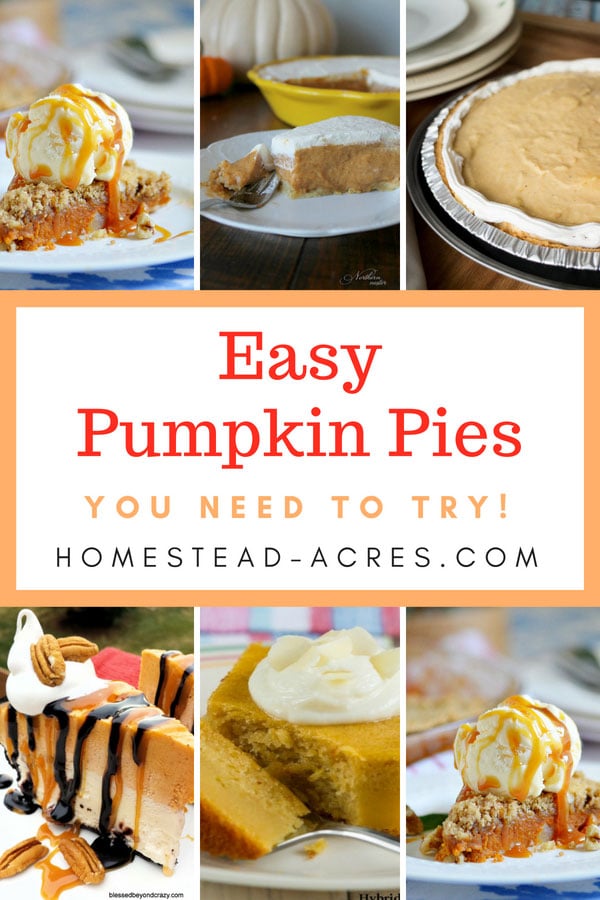 Easy Pumpkin Pie Recipes