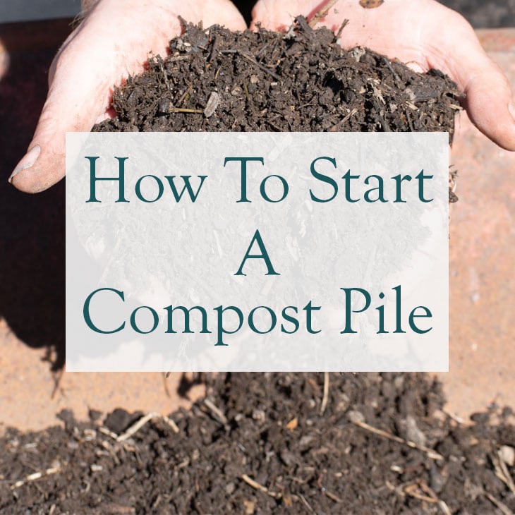 How To Start A Compost Pile In Your Backyard