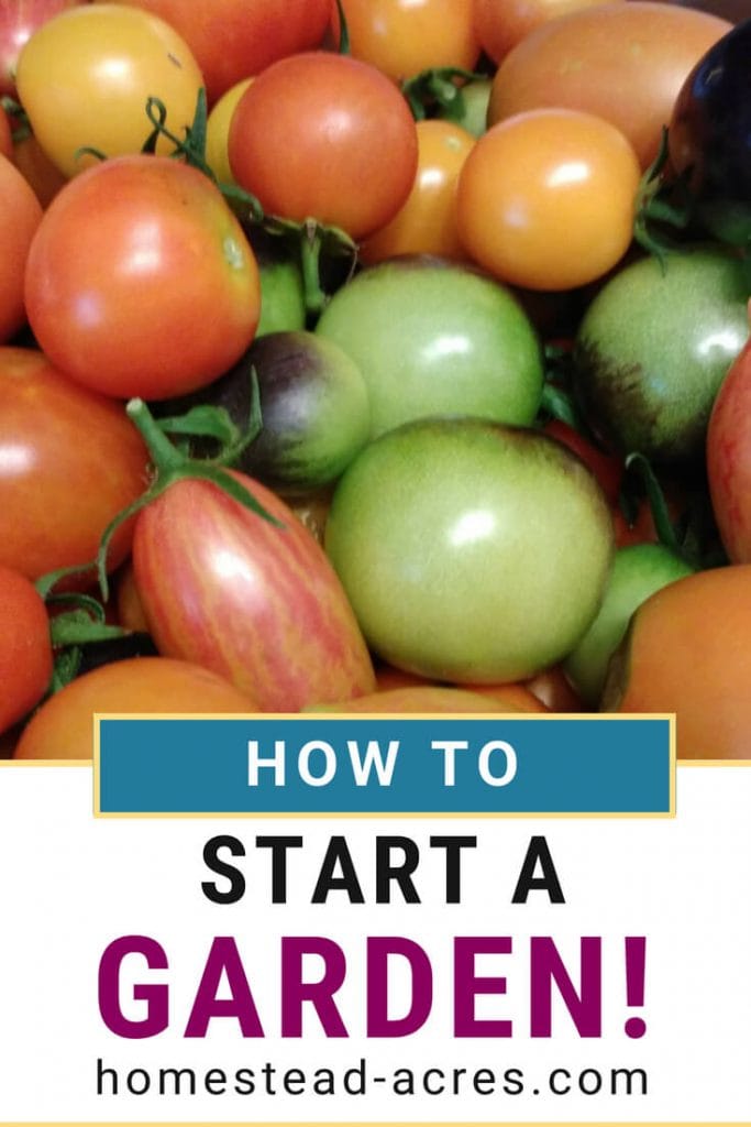 How To Start A Vegetable Garden For Beginners