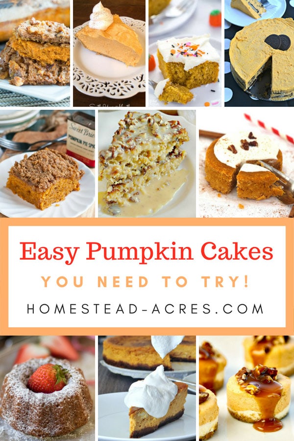 Easy Pumpkin Cake Recipes