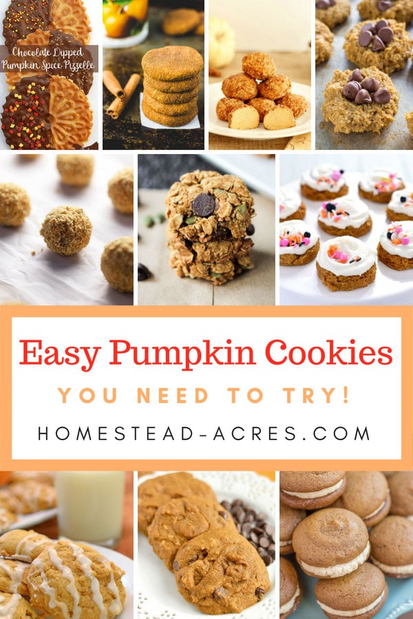 Easy Pumpkin Cookie Recipes