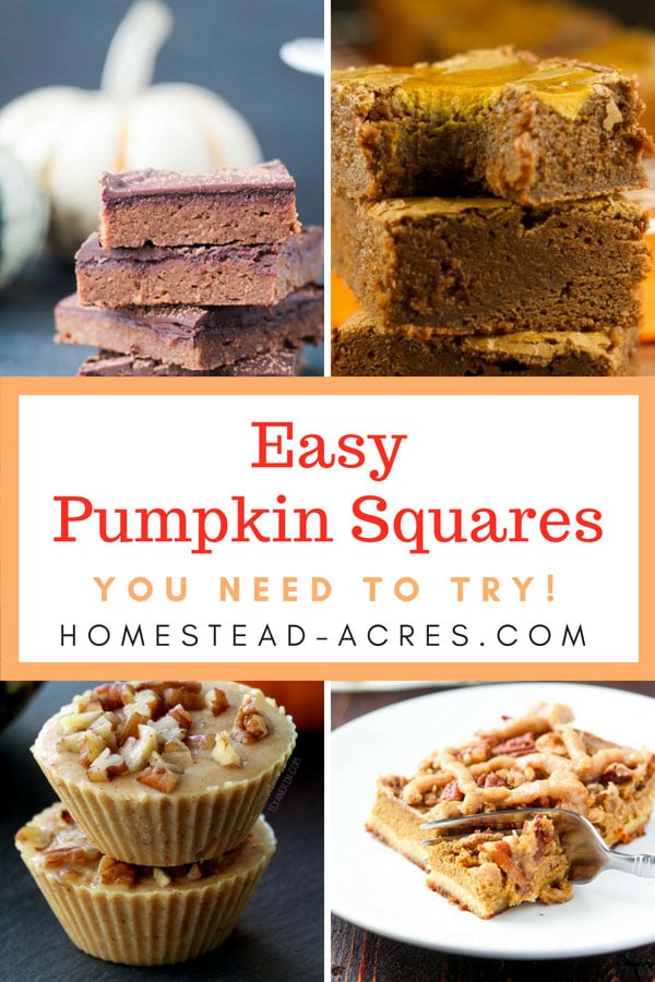 Easy Pumpkin Squares Recipes