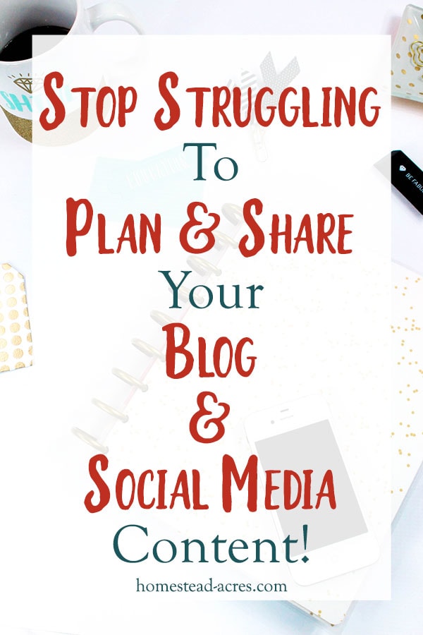 Planning Blog And Social Media Content