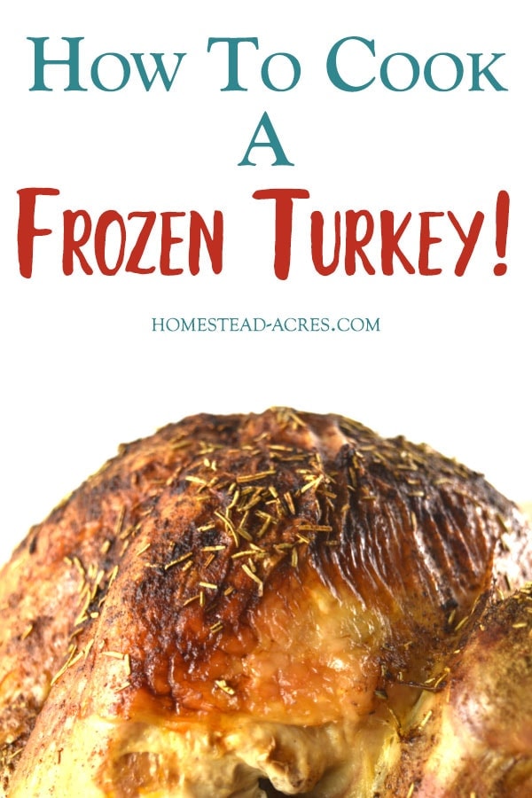 Freezer-to-Oven Whole Turkey · Faith Middleton's Food Schmooze