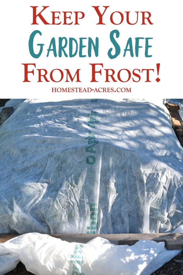 Keep Your Garden Safe From Frost text overlaid on a photo of garden plants being covered in a white frost blanket.