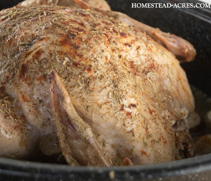 Seasoning A Frozen Turkey