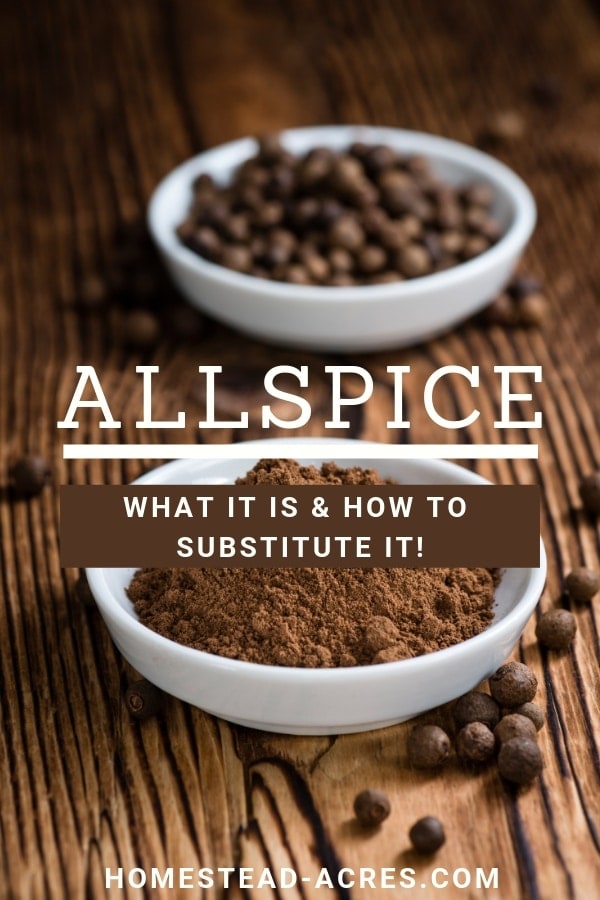 How To Make An Allspice Substitute