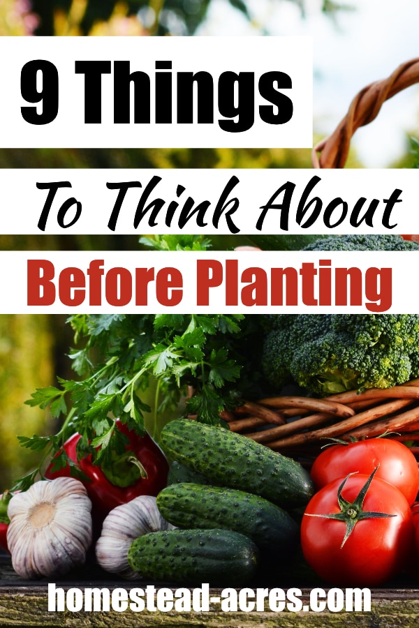 9 Things To Think About Before Planting text overlaid on a photo of a basket holding fresh vegetables, tomatoes, cucumbers and garlic.