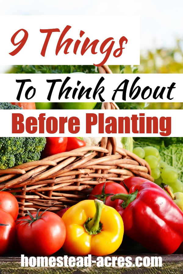 9 Things To Think About Before Planting text overlaid on a close up photo of fresh tomatoes and peppers on a table in front of a basket.