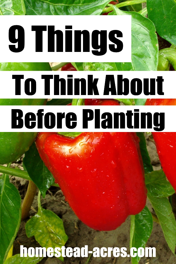 9 Things To Think About Before Planting text overlaid on a photo of red peppers growing in the garden.