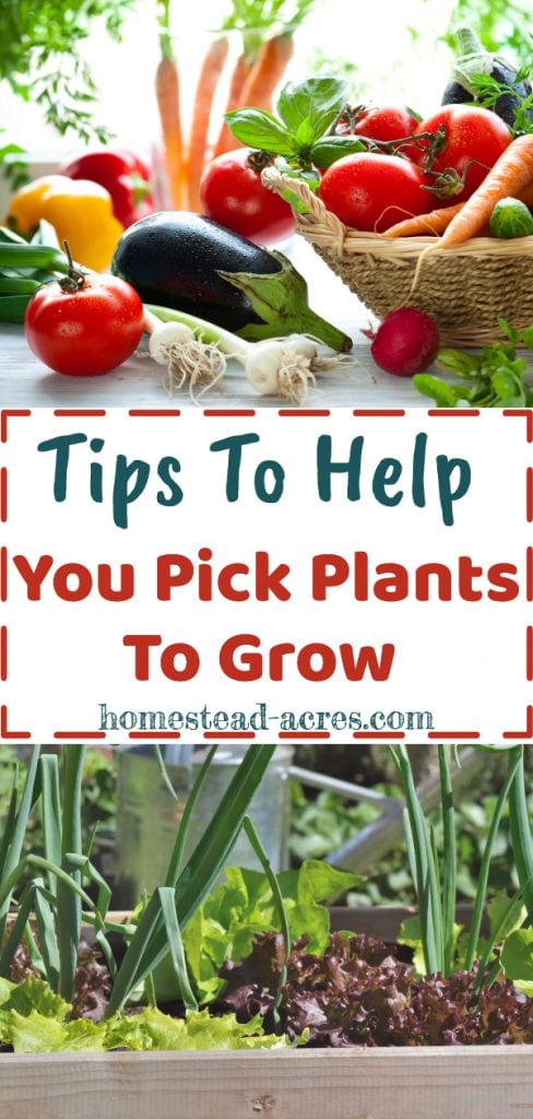 Tips To Help You Pick Plants To Grow overlaid on a photo collage. On the top are fresh vegetables on a table, the bottom onions and lettuce growing in a garden.
