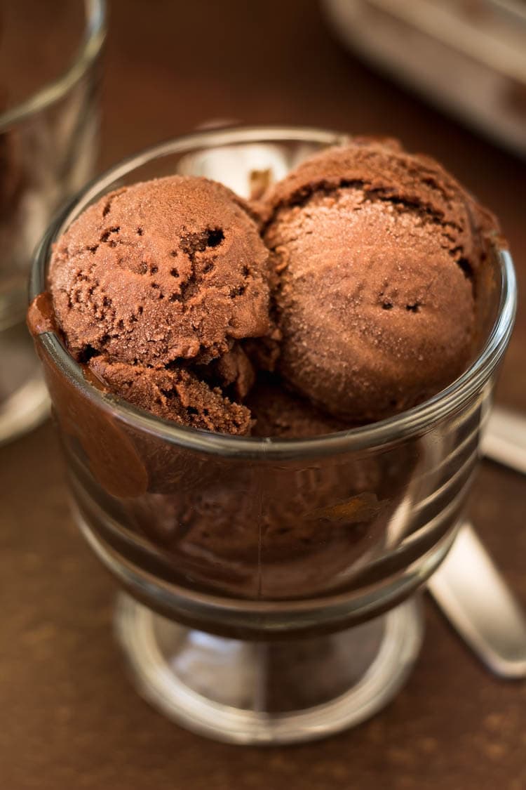 Homemade double chocolate stout sorbet in a glass ice cream cup.