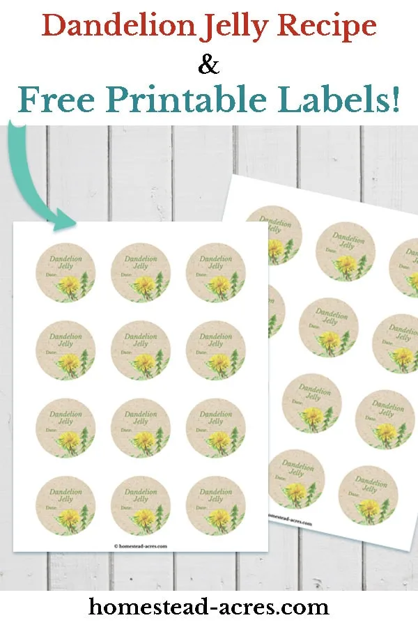 Sample image of canning jar labels. Text overlay says Dandelion Jelly Recipe & Free Printable Labels.