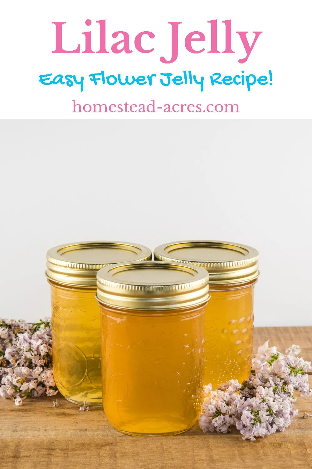 Lilac Jelly - Easy Flower Jelly Recipe! text overlaid on top of a photo of yellow lilac jelly in canning jars sitting on a table with lilac flowers.