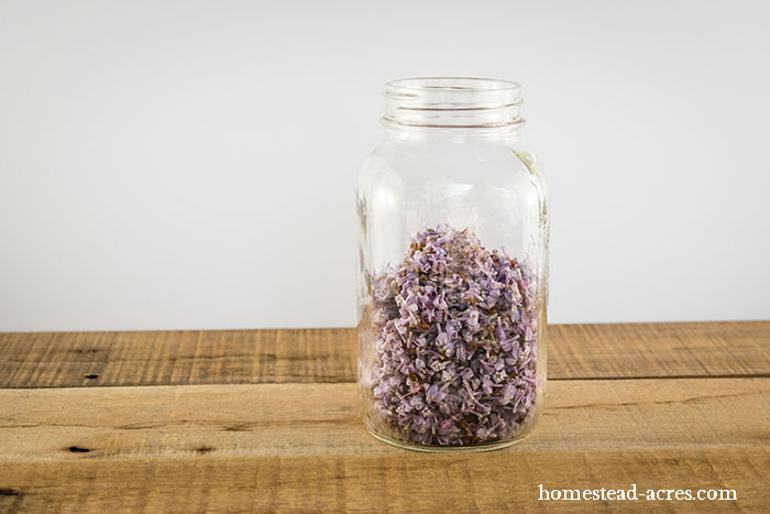 Lilac Flowers Ready To Make Jelly