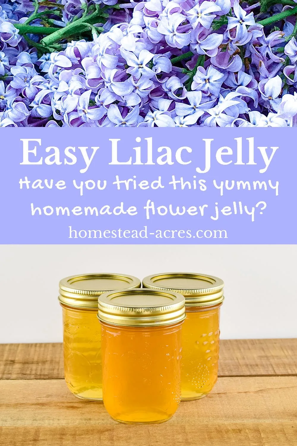 Easy lilac jelly. Have you tried this yummy homemade flower jelly? Text overlaid on top of a collage image of light purple lilac flowers and jars of jelly sitting on a wooden table.