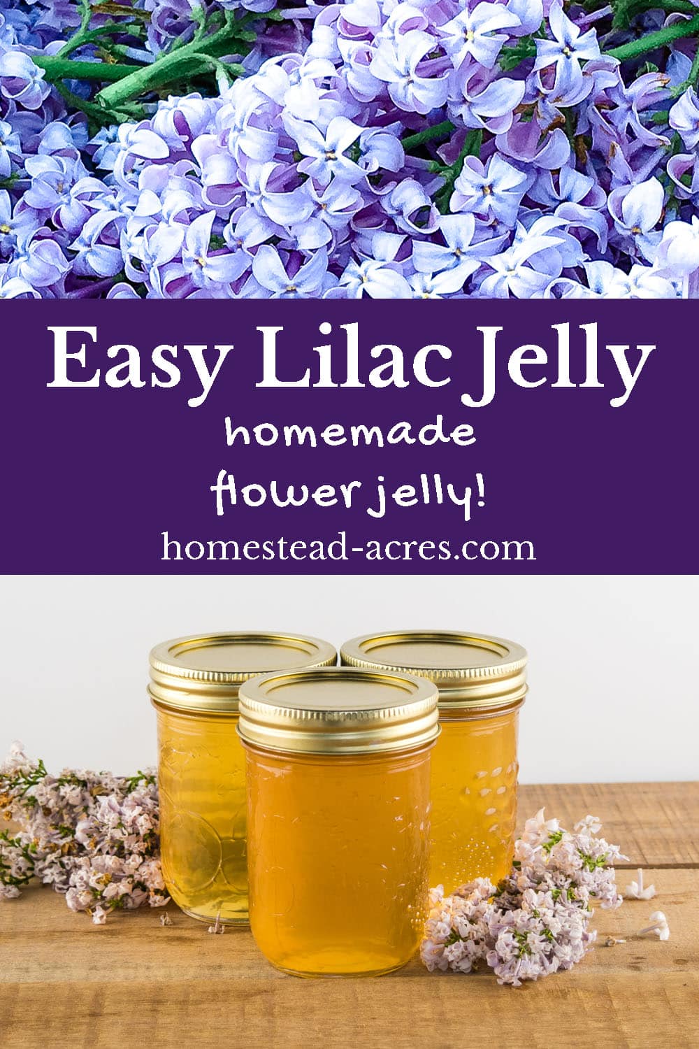 Easy Lilac Jelly homemade flower jelly text overlaid on a collage image of light purple lilac flowers and jars of lilac jelly.