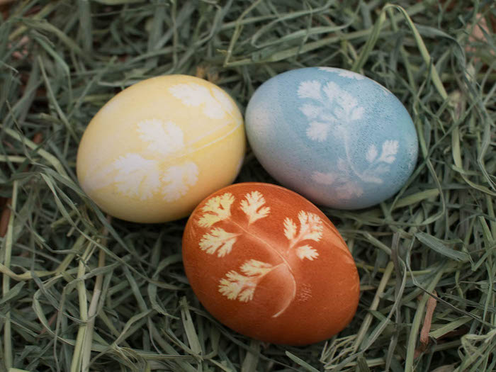 Natural herb stenciled Easter eggs.