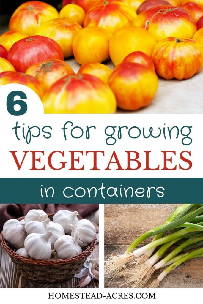 6 Tips For Growing Vegetables In Containers text overlaid on a photo collage of tomatoes on the top, garlic and onions on the bottom.