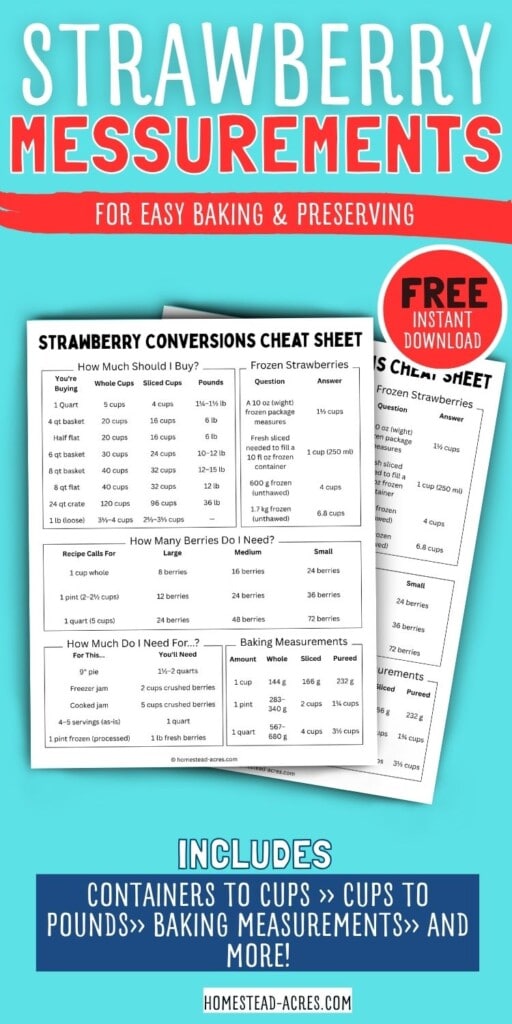 Promotional graphic for a strawberry conversions cheat sheet with two printable pages on a turquoise background. Text reads "Strawberry messurements" "For easy baking and preserving" "Free instant download" "Strawberry conversions cheat sheet" "Includes containers to cups cups to pounds baking measurements and more"