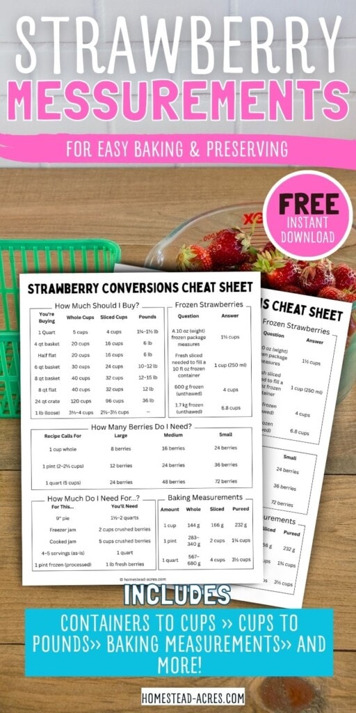 Promotional graphic for a free strawberry conversions cheat sheet with printable pages, a green basket, and a bowl of strawberries. Text reads "Strawberry messurements" "For easy baking and preserving" "Free instant download" "Strawberry conversions cheat sheet" "Includes containers to cups cups to pounds baking measurements and more".