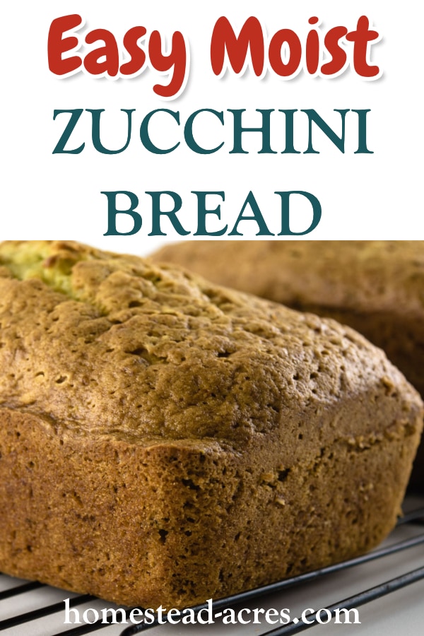 Easy Moist Zucchini Bread