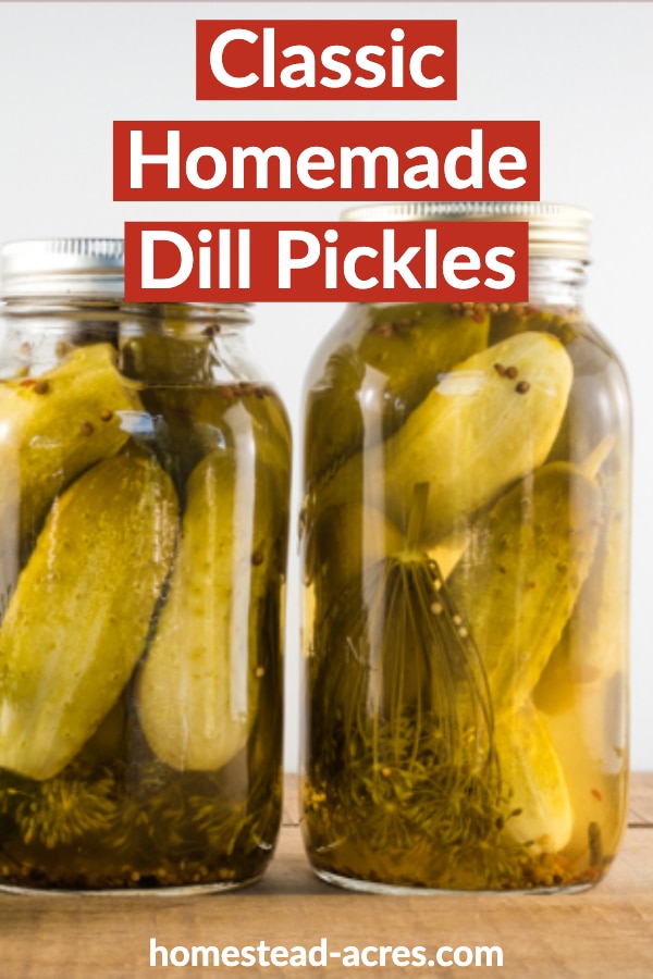 Classic homemade dill pickles text overlaid on a closeup photo of pickles in canning jars.