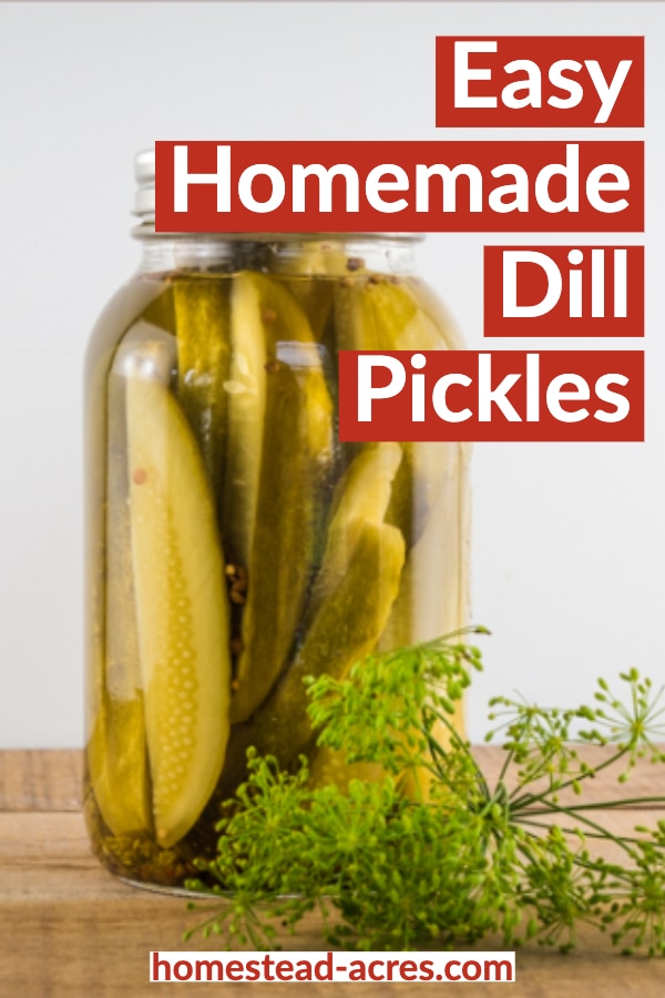 How To Make Dill Pickles Easy Canning Recipe Homestead Acres