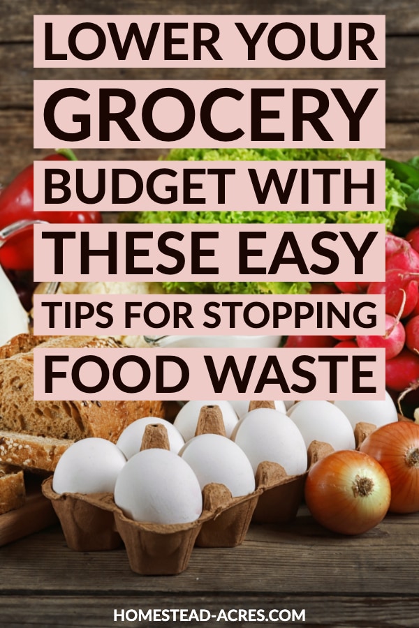 Lower your grocery budget with these easy tips for stopping food waste text overlaid on a photo of eggs, bread, and produce on a wooden table.